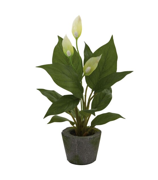 Nearly Natural Spathiphyllum with Cement Planter, , hi-res, image 2