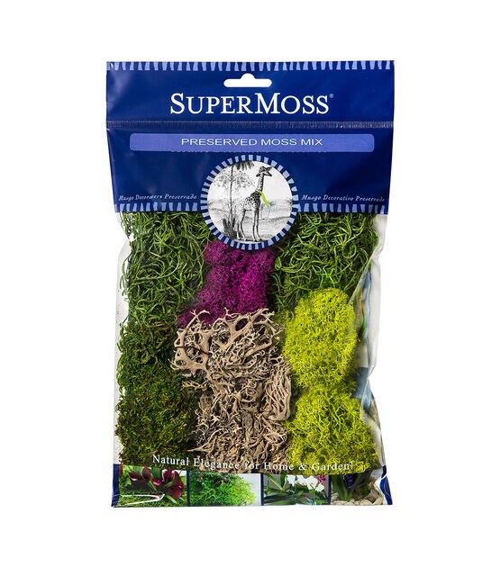 SuperMoss Super Moss (23136) Reindeer Moss Preserved Bag, 2oz, Mint