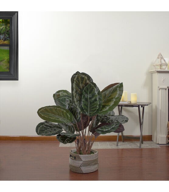 Northlight 30" Artificial Large Green Leaf Calathea Potted Plant, , hi-res, image 2