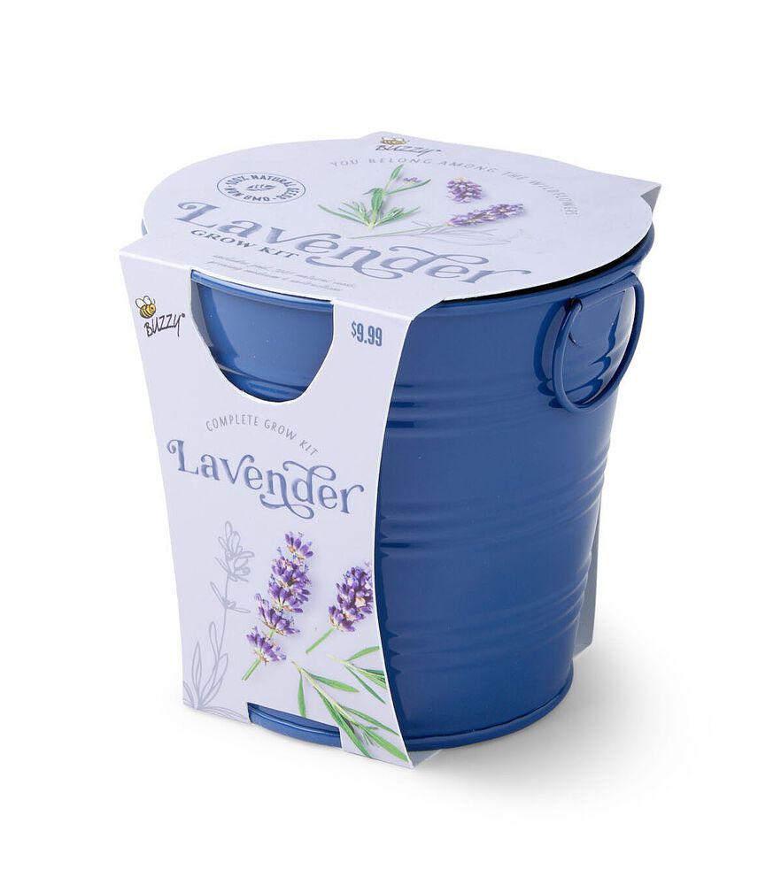 Buzzy 2" Spring Grow Kit in Colored Metal Pail, Lavender, swatch, image 4