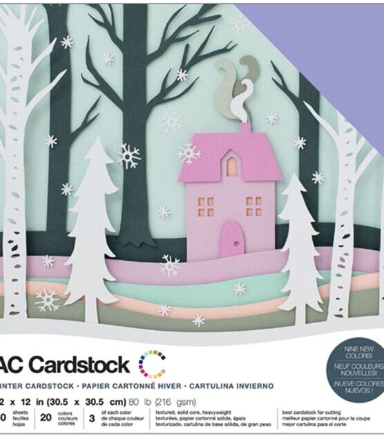 American Crafts Variety Cardstock Pack 12"X12" Winter