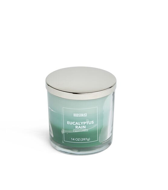 14oz Eucalyptus Rain Scented Jar Candle by Hudson 43