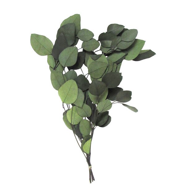 17" Dried Eucalyptus Populus Bouquet by Bloom Room
