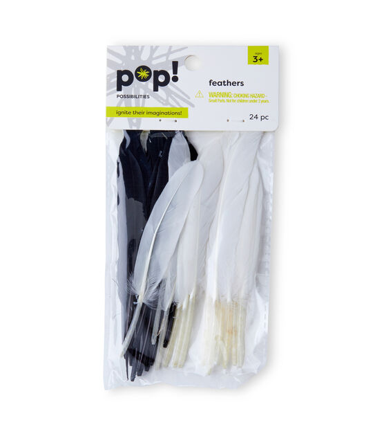 POP! Feathers Black and White 24pc