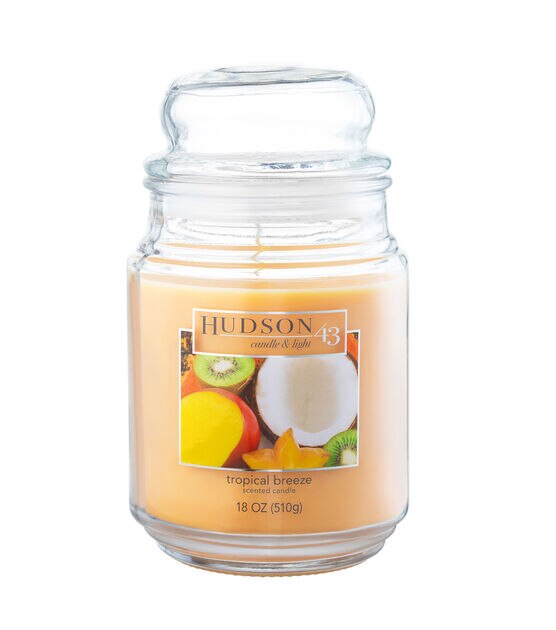 18oz Tropicle Market Scented Jar Candle by Hudson 43