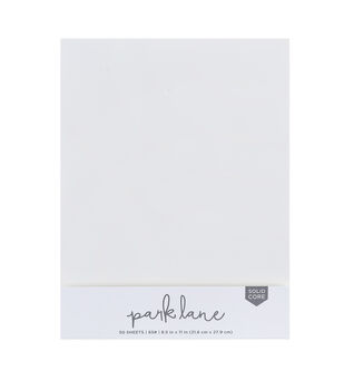 25 Sheet 12 x 12 Page Protector by Park Lane