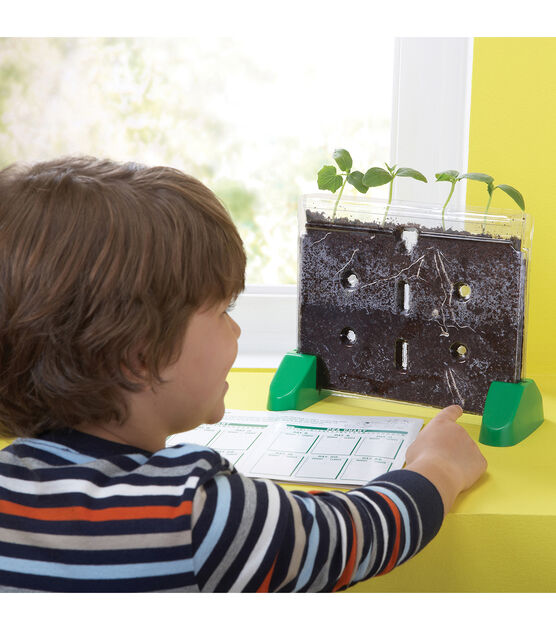 Educational Insights Sprout & Grow Window Plant Growing Kit, , hi-res, image 4