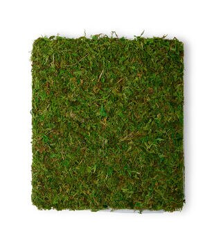 ProFlora Green True Moss Sheet, 2oz Floral Arranging Supplies