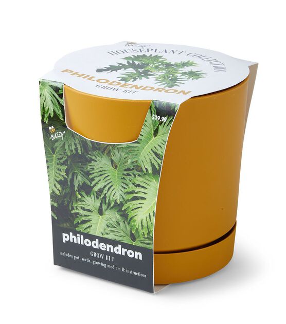 5" Spring Philodendron Plant Grow Kit in Pot by Place & Time