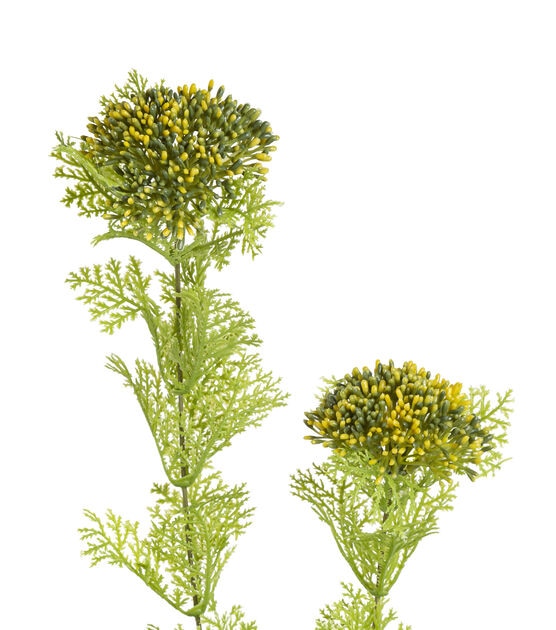 34.5" Yellow Queen Anne's Lace Stem by Bloom Room, , hi-res, image 2