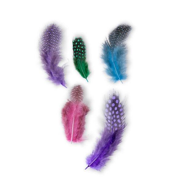 POP! Guinea Plumage Multi Color Feathers 0.1oz, , hi-res, image 3