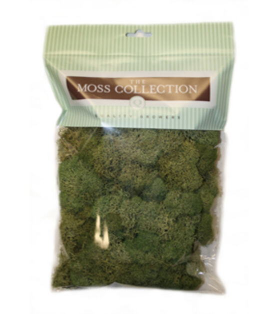 Quality Growers 108.5" Preserved Reindeer Moss
