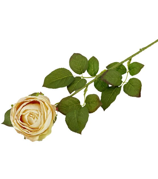 28.5" Fall Cream Rose Stem by Bloom Room, , hi-res, image 1