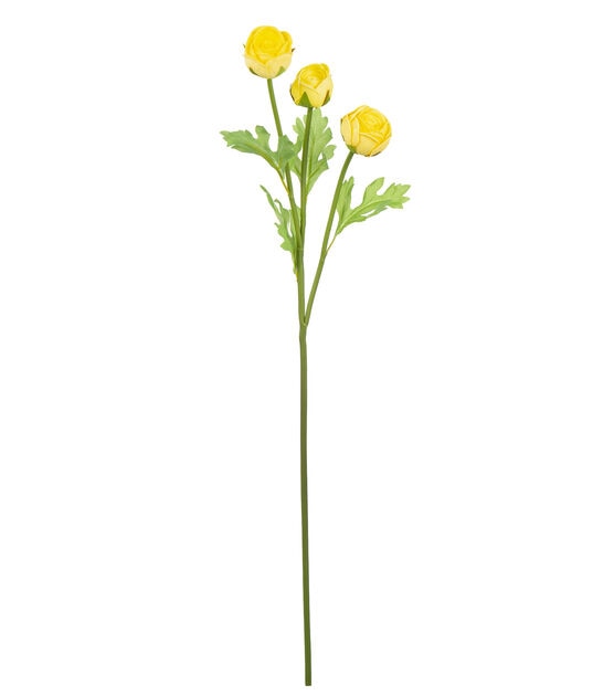 23" Yellow Ranunculus Stem by Bloom Room