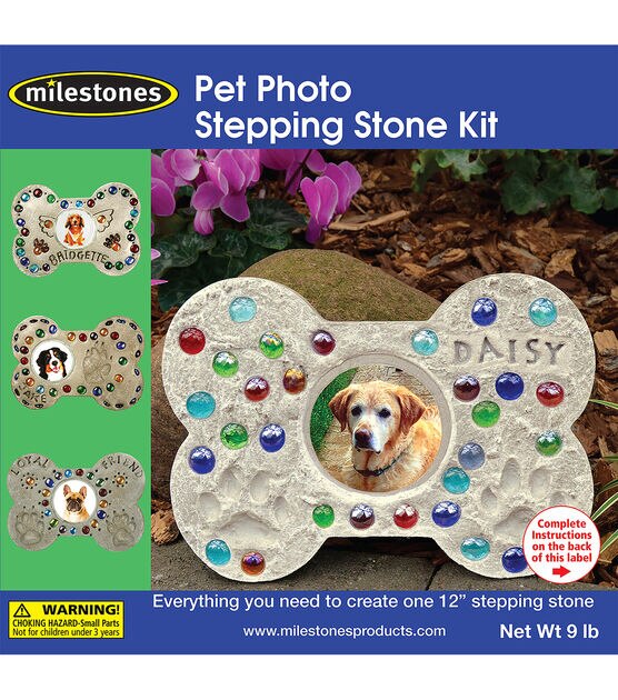 Mosaic Stepping Stone Kit Pet Photo