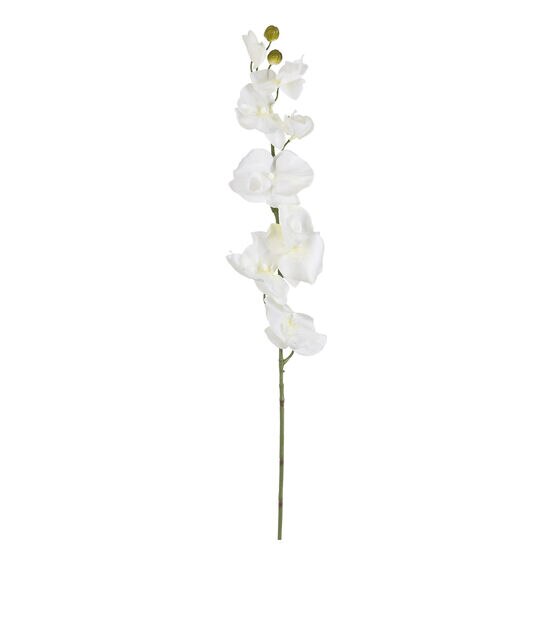 36" White Phalaenopsis Stem by Bloom Room