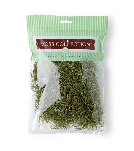 Quality Growers 125" Green Spanish Moss