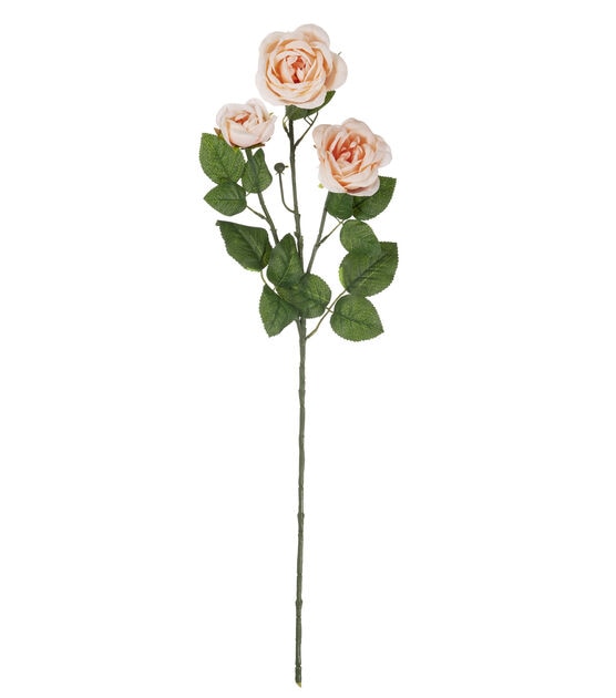 31" Blush Cabbage Rose Stem by Bloom Room
