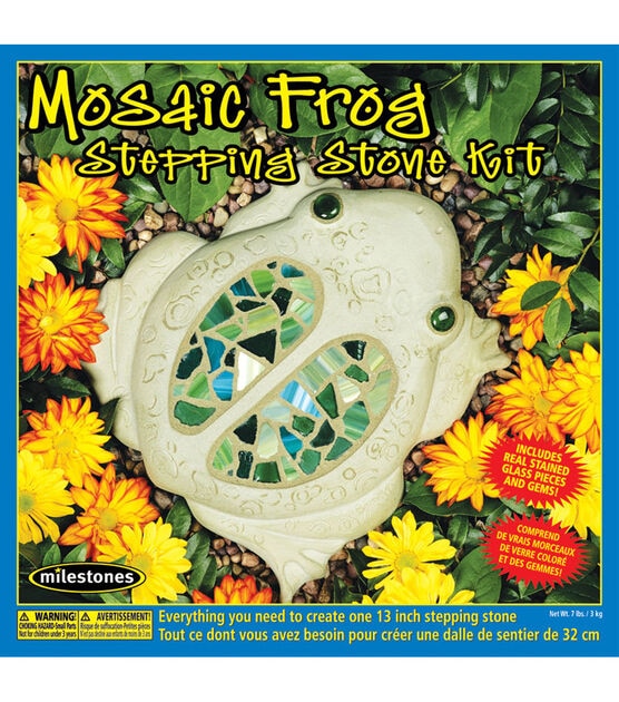 Garden Molds X-FR8012 Frog Stepping Stone Mold- Pack of 2, 2 - Fry's Food  Stores