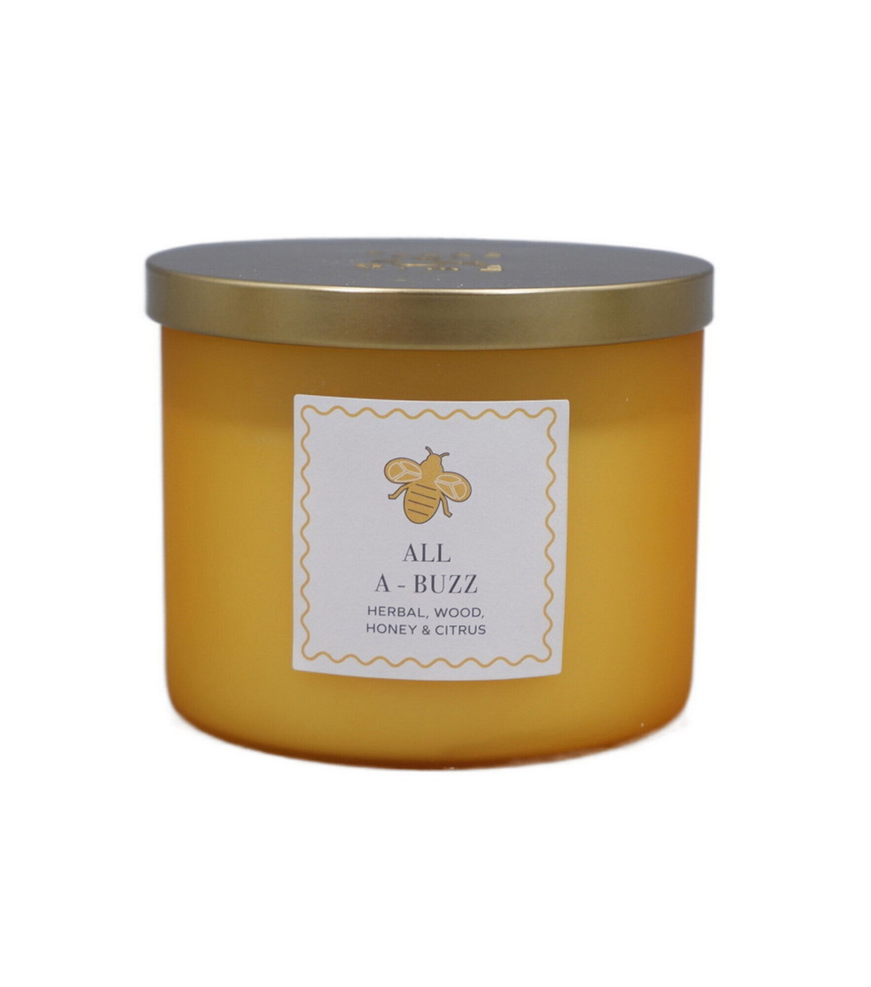 14oz Spring 3 Wick Scented Jar Candle by Place & Time, All A Buzz, hi-res