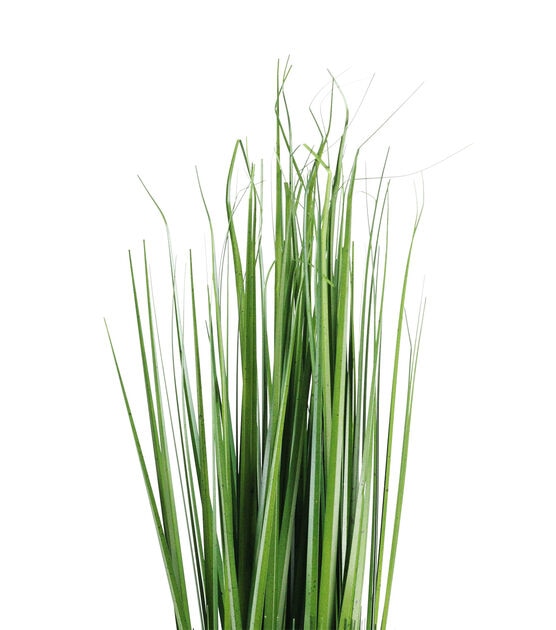 Northlight 30.25" Green Artificial Onion Grass Bundle, , hi-res, image 2