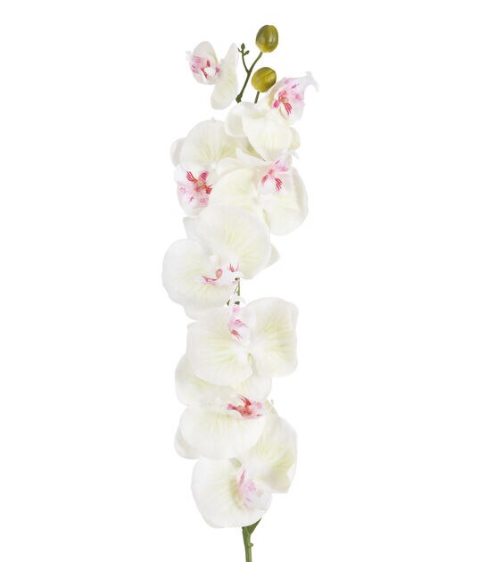 36" White & Pink Phalaenopsis Stem by Bloom Room, , hi-res, image 2