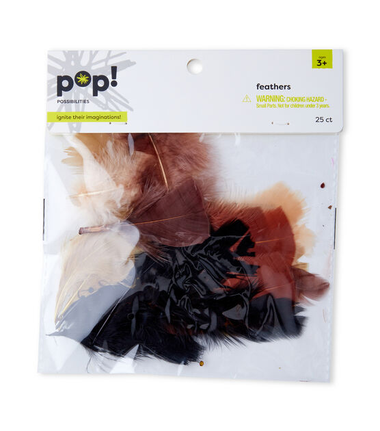POP! Turkey Plum Earth Mix Feathers 25pc