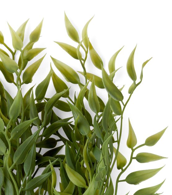 18.5" Spring Green Ruscus Bush by Bloom Room, , hi-res, image 2