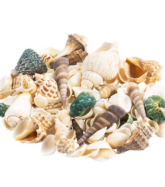 12oz Natural Sea Shell Mix by Bloom Room, , hi-res, image 3