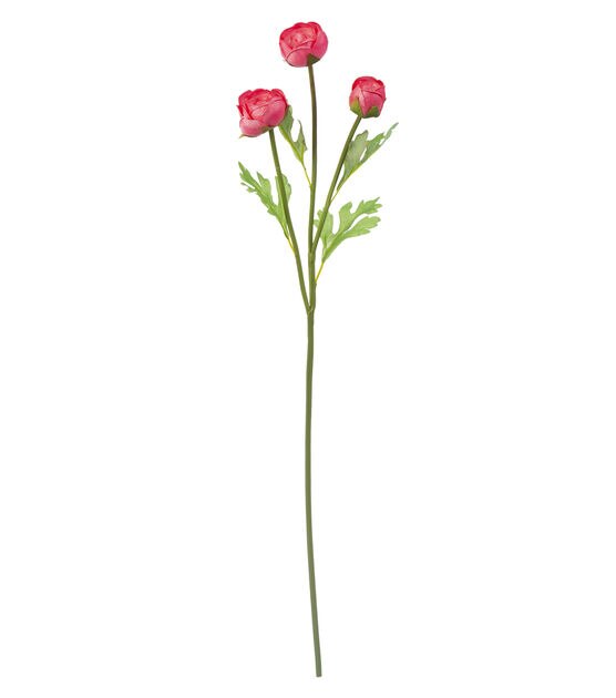 24.5" Pink Ranunculus Stem by Bloom Room