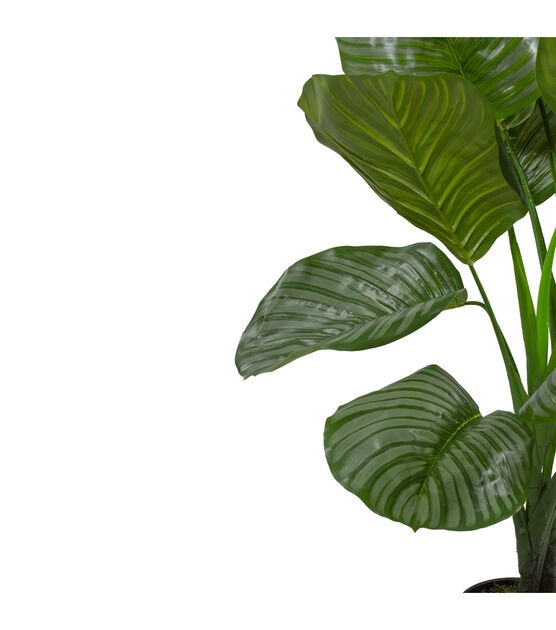 Northlight 4' Potted Two Tone Green Calathea Artificial Floor Plant, , hi-res, image 3
