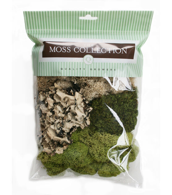 Quality Growers 108.5" Assorted Moss Mix