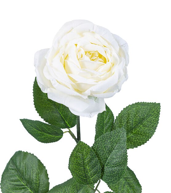 29" Cream Cabbage Rose Stem by Bloom Room, , hi-res, image 2