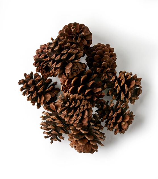 Natural Pine Cone Pick, 4 - Crafts Direct
