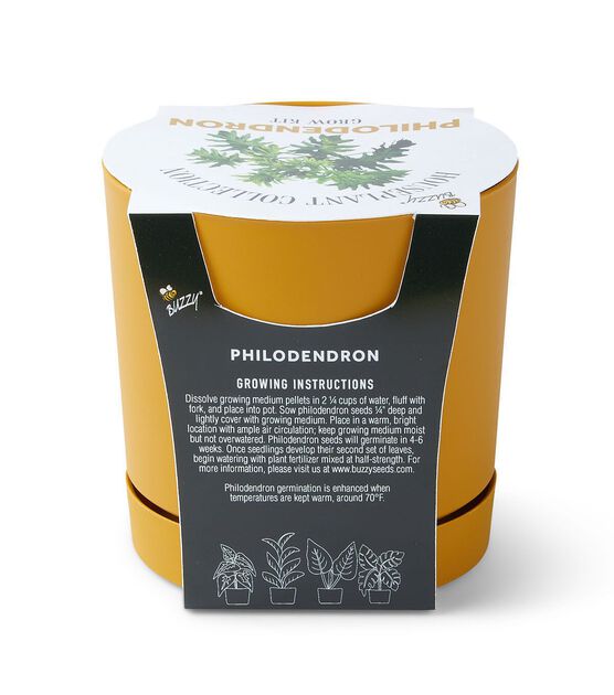5" Spring Philodendron Plant Grow Kit in Pot by Place & Time, , hi-res, image 3