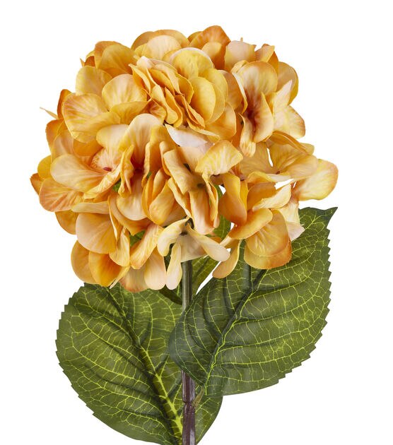 32" Honey Gold Hydrangea Stem by Bloom Room, , hi-res, image 2