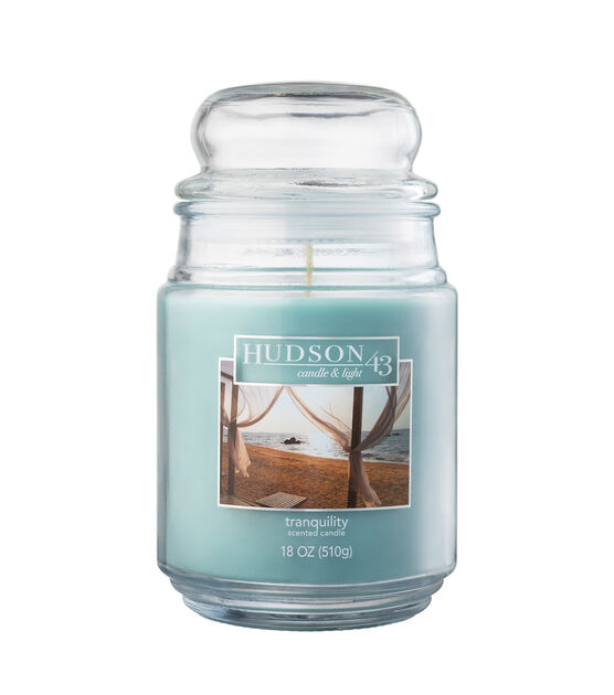 18oz Wild Orchid & Coconut Jar Candle by Hudson 43