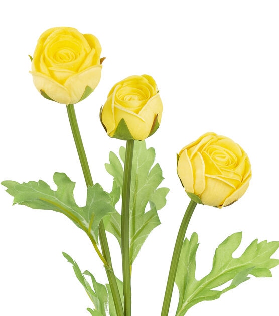 23" Yellow Ranunculus Stem by Bloom Room, , hi-res, image 2