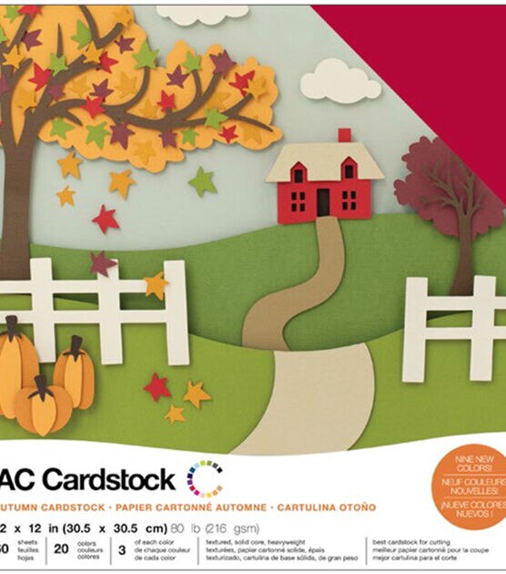 American Crafts Variety Cardstock Pack 12"X12" Autumn