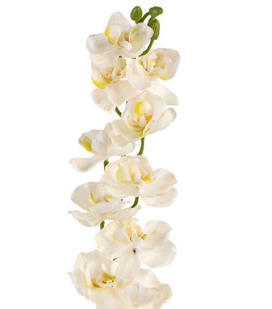 28.5" White Orchid Stem by Bloom Room, , hi-res, image 2