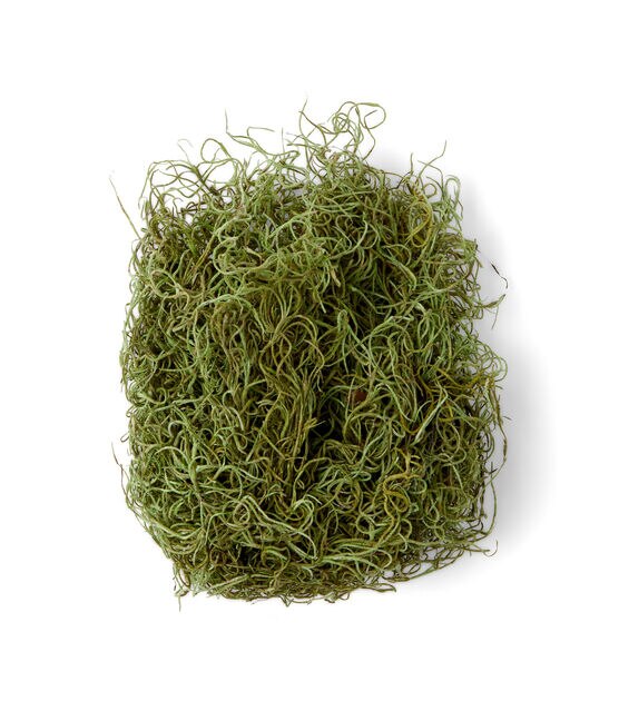 Quality Growers 125" Green Spanish Moss, , hi-res, image 2