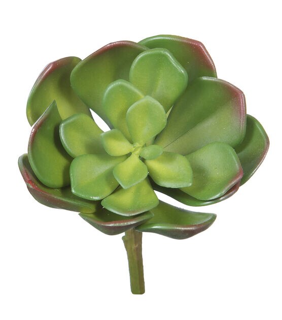 6" Green Echeveria Succulent Pick by Bloom Room, , hi-res, image 2