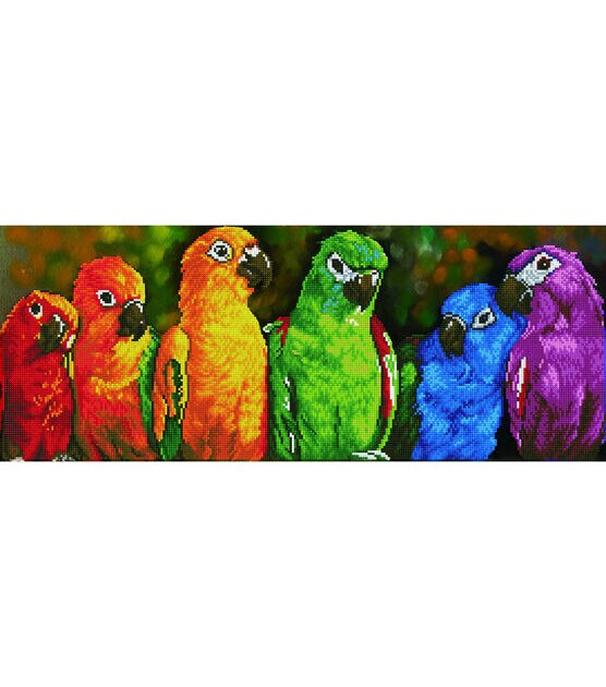 Diamond Dotz Diamond Embroidery Art Kit 22.44''X16.14'' Rainbow Parrots
