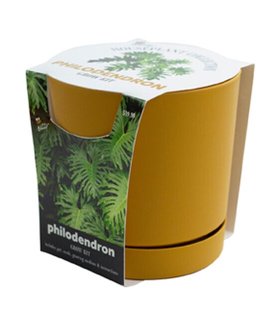 5" Spring Philodendron Plant Grow Kit in Pot by Place & Time, , hi-res, image 2