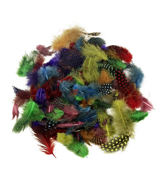 POP! Guinea Plumage Multi Color Feathers 0.1oz