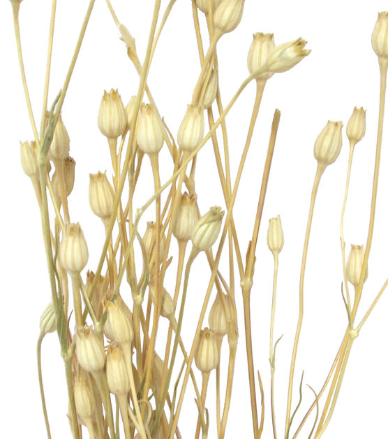 27" Natural Florentine Dried Bouquet by Bloom Room, , hi-res, image 2