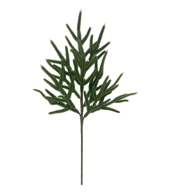 Norfolk pine stems for vase｜TikTok Search