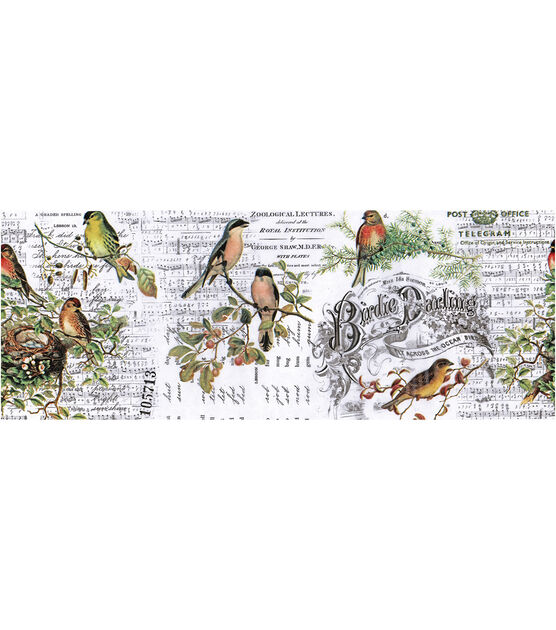 Tim Holtz Idea ology 6" x 6yd Aviary Collage Paper