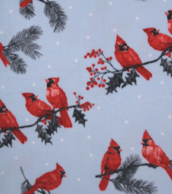 Joann Fabrics Fabric Traditions St. Louis Cardinals Cotton Fabric Patch