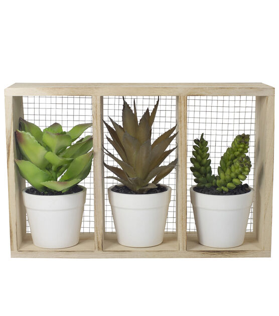 Northlight 10.75" Artificial Mixed Potted Succulents in Wooden Box